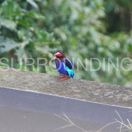 Rumah Lereng Bandung Buitenkant foto