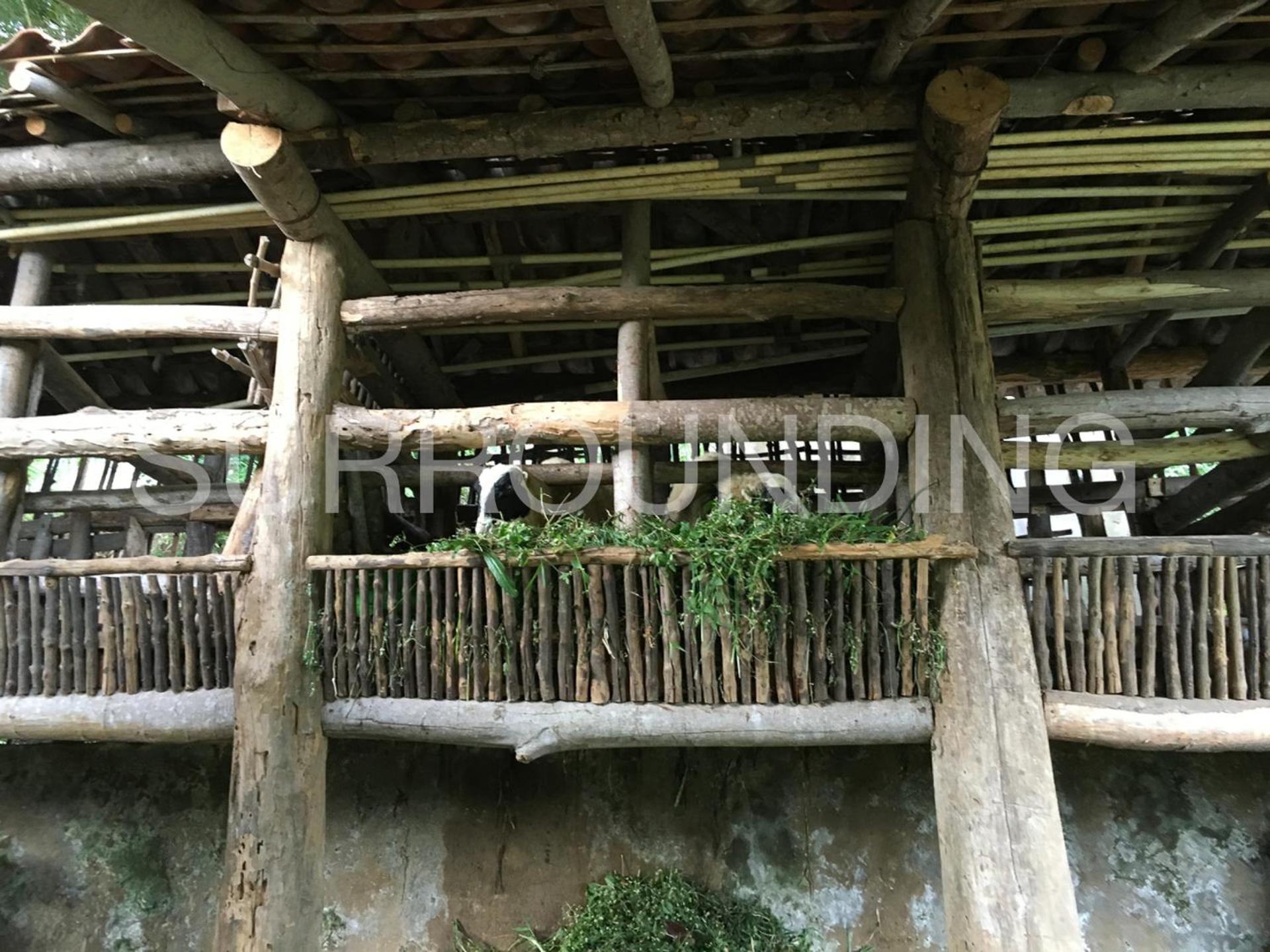 Rumah Lereng Bandung Buitenkant foto